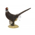 TINTA SPUMA 3D TARGETS 3-D SRT BLACK PHEASANT FAZAN