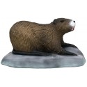 SRT COYPU NUTRIE 3D TARGETS